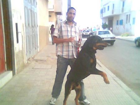 le copain de  ma soeur et son chien